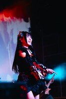 すずめ（撮影：小林弘輔）