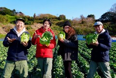 JUJU「相葉マナブ」に6回目の登場！春キャベツを切ったりちぎったり