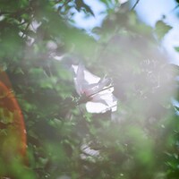 STUTSと大貫妙子「おはよう」ジャケット