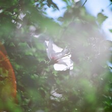 STUTSと大貫妙子「おはよう」ジャケット