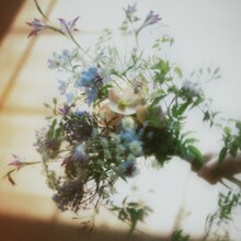 tonun「花束」ジャケット