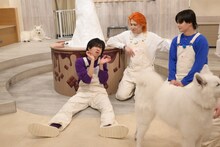 サモエドとふれあおうとするリョウガ（中央）。