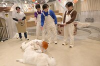 サモエドになりきるタカシ（下）。