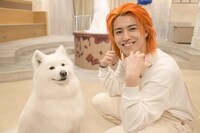 笑うサモエドとタカシ。