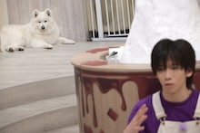 超特急「トレタリ」シーズン11今夜スタート！リョウガは幸運運ぶサモエドと仲良くなれるのか