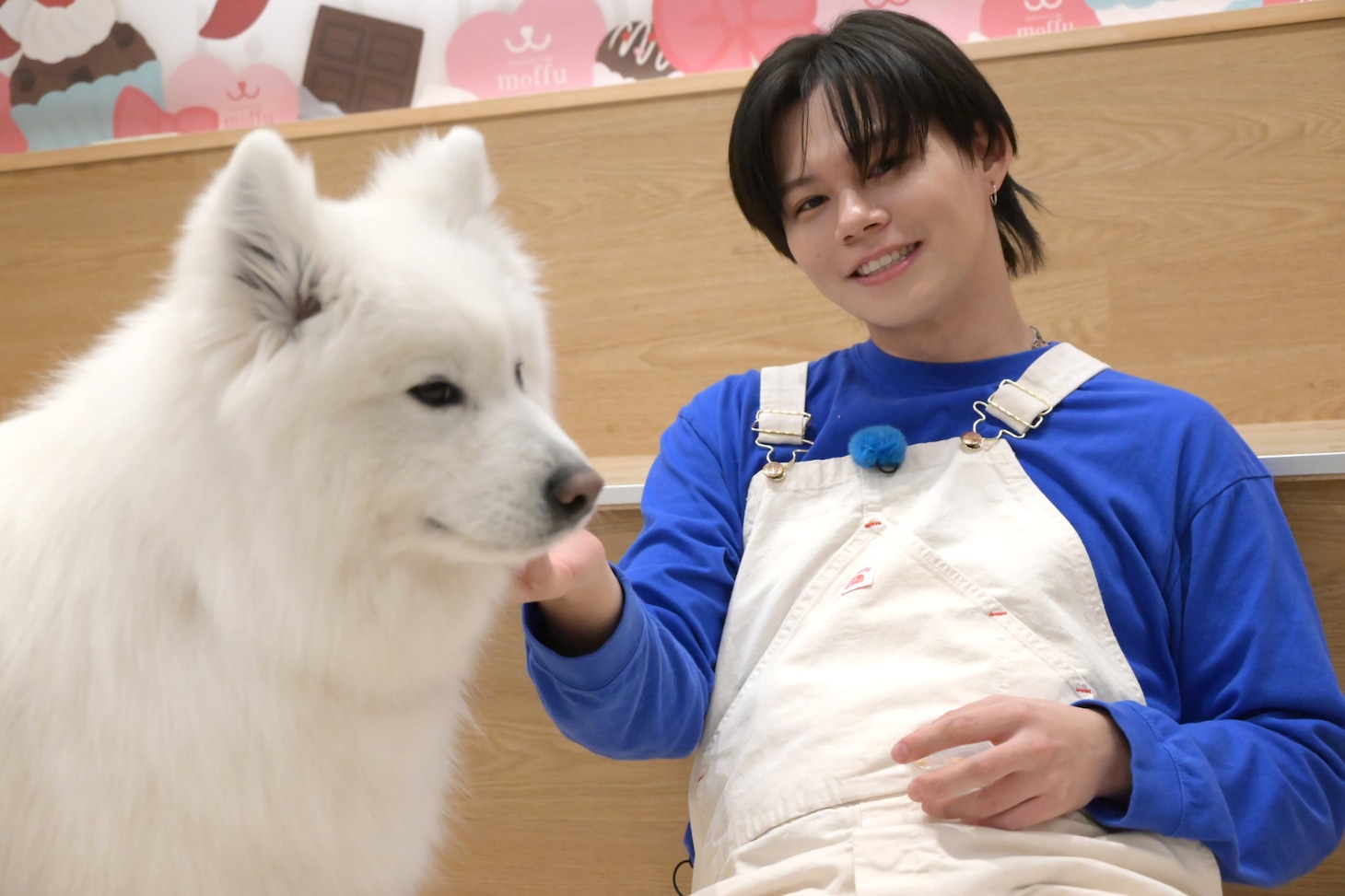 サモエドとカイ。