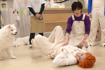 タカシと戯れるリョウガと、その様子を見に来たサモエド（左）。