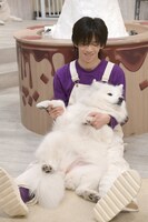 サモエドと戯れるリョウガ。