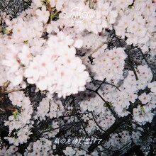 SWALLOW「私のために泣いて」配信ジャケット