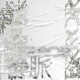 Age Factory「静脈/ERROR」ジャケット