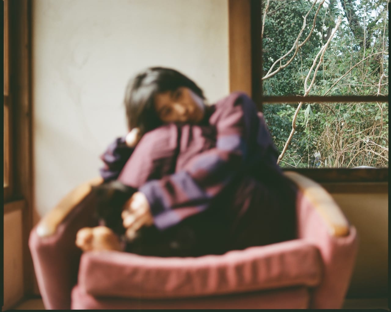 角銅真実の人生を変えた愛の伝道猫・きりん