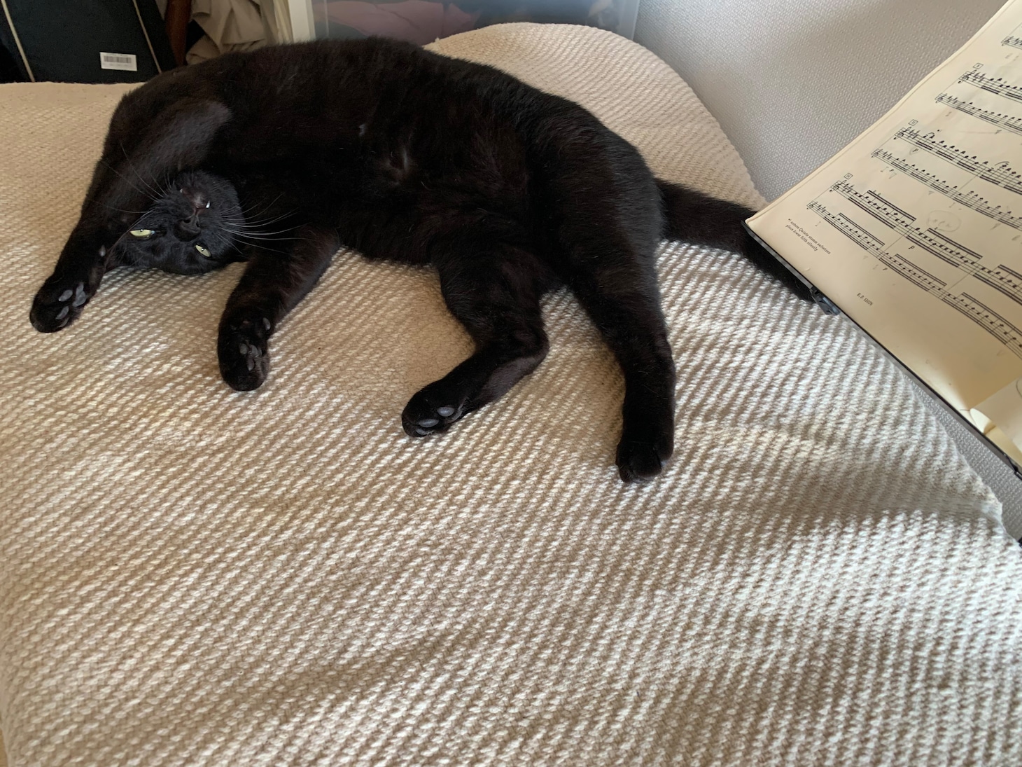 楽譜の横で寝そべるきりんちゃん。