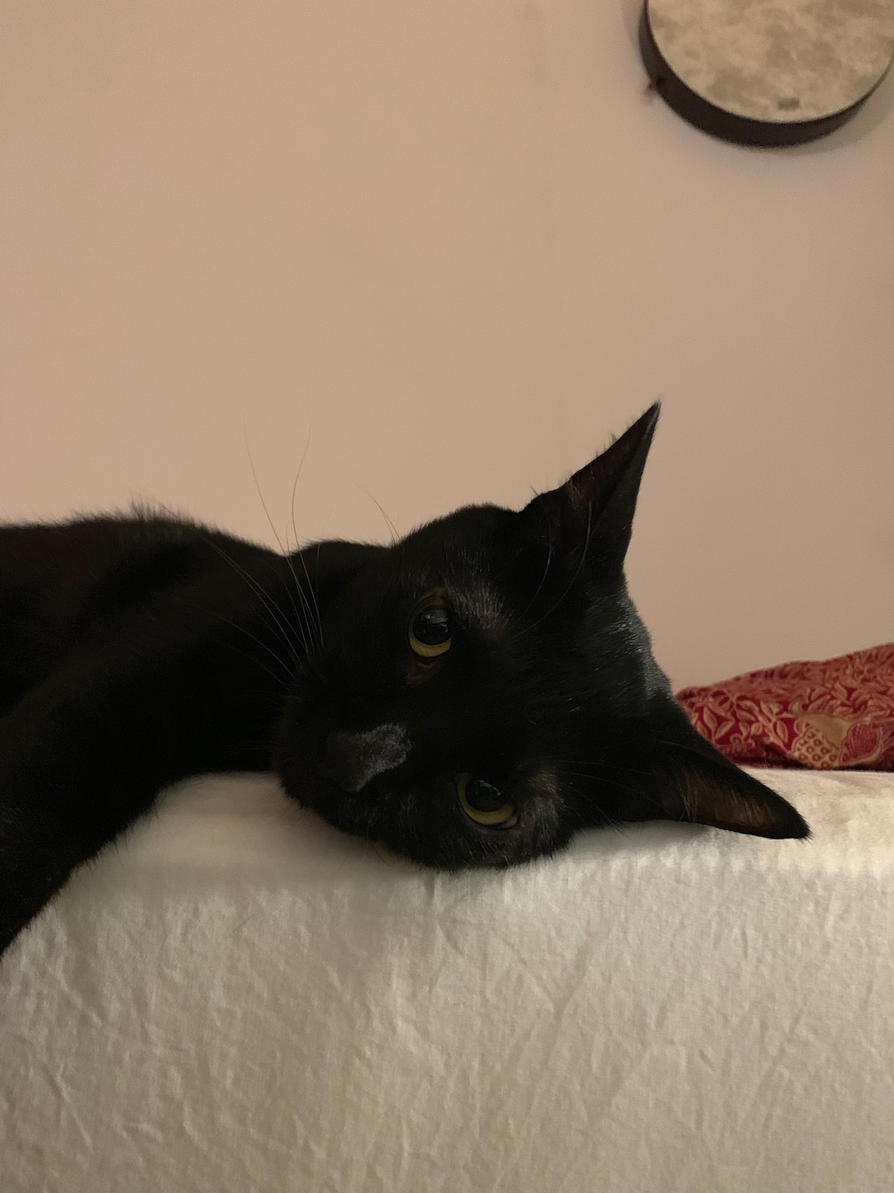 少しアンニュイな表情も……。