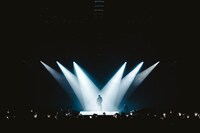 guca owl（Photo by Ray Otabe）