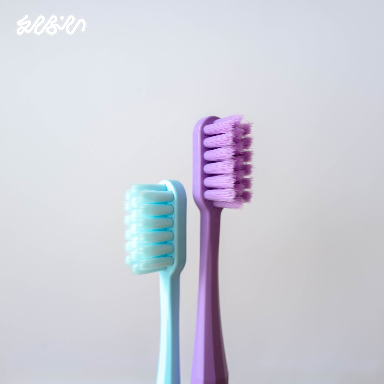 えんぷていの3rdアルバム「えんぷてい」ジャケット