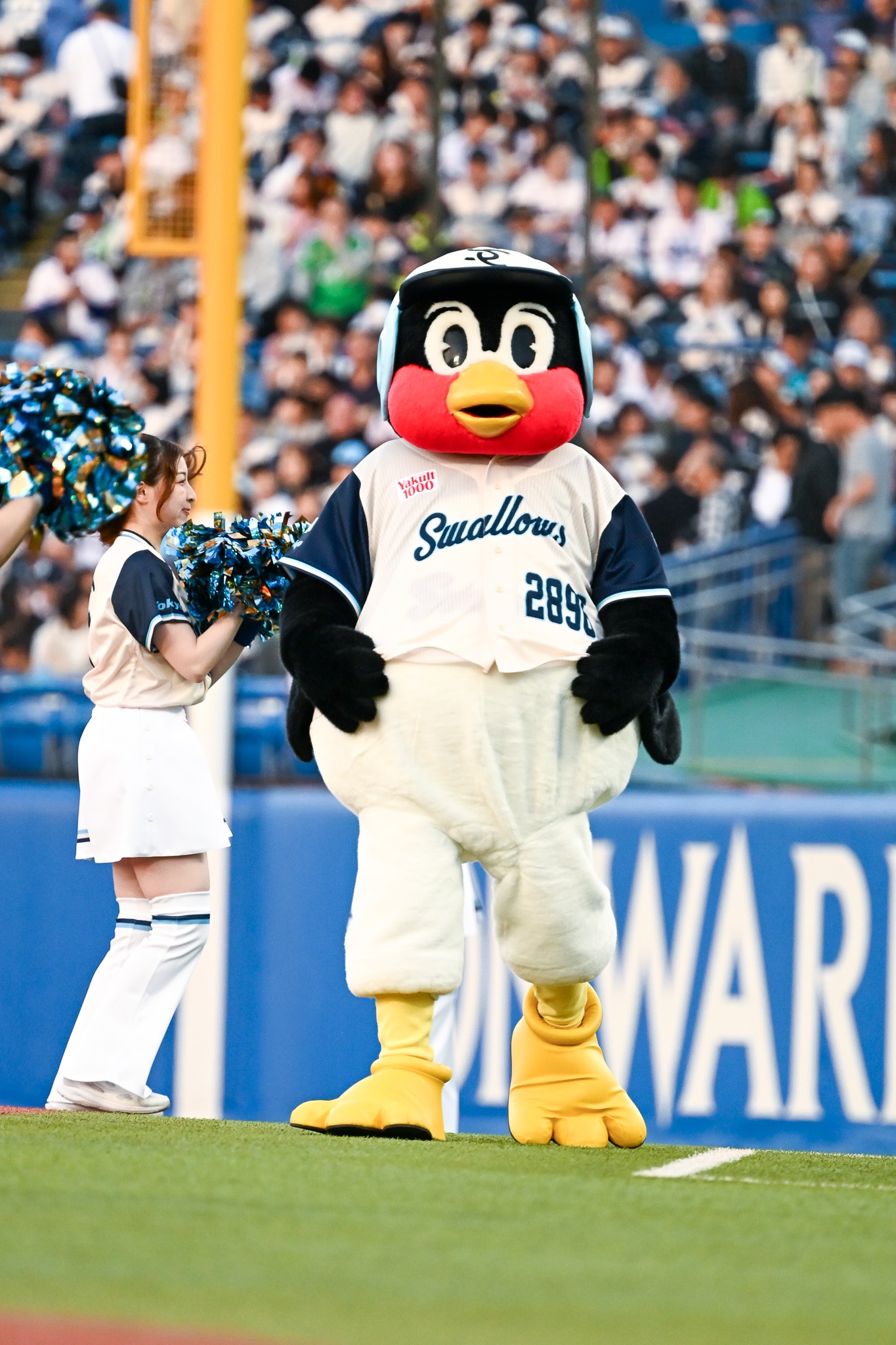 神宮球場をゆっくり練り歩くマスコット・つば九郎。
