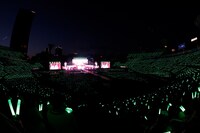 諸橋沙夏のペンライトカラーである緑の光で染まる横浜スタジアム。