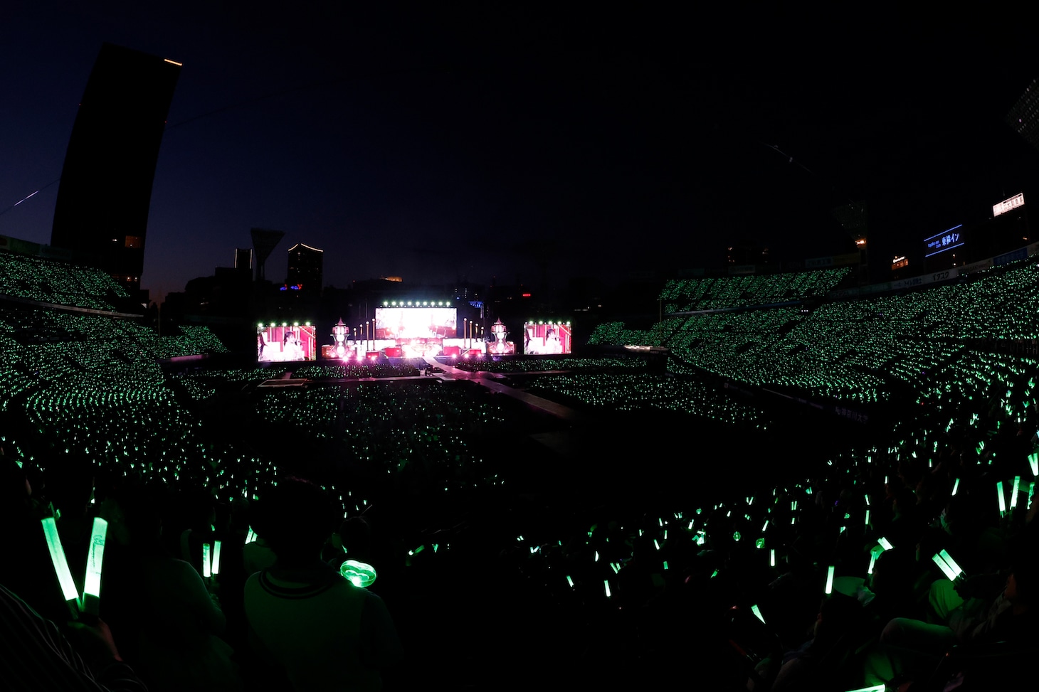 諸橋沙夏のペンライトカラーである緑の光で染まる横浜スタジアム。