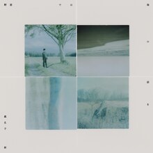 眞名子新「野原では海の話を」ジャケット