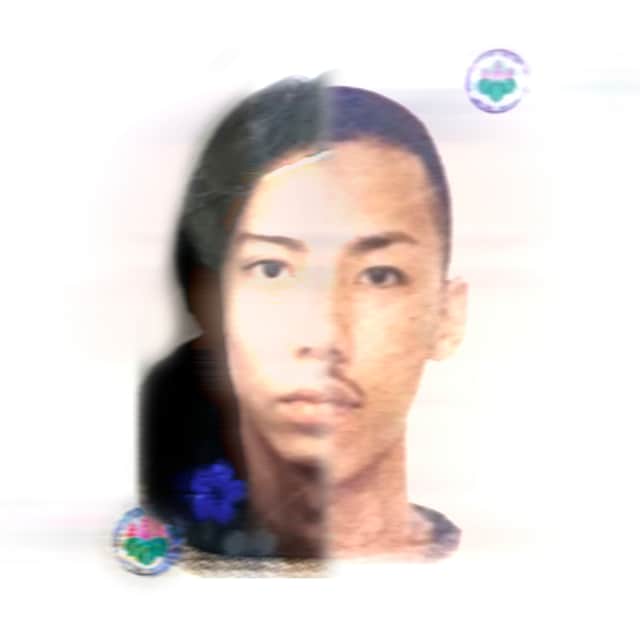 千葉雄喜 ＆ BABYWOODROSE「Documentary」配信ジャケット