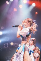 ナオ・オブ・ナオ（豆柴の大群）