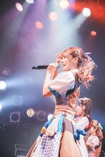 ナオ・オブ・ナオ（豆柴の大群）