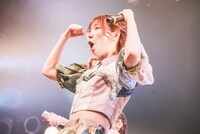 ハナエモンスター（豆柴の大群）