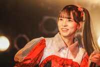 アイカ・ザ・スパイ（豆柴の大群）