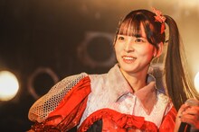 アイカ・ザ・スパイ（豆柴の大群）