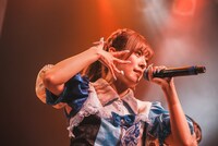 ナオ・オブ・ナオ（豆柴の大群）