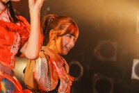 レオナエンパイア（豆柴の大群）