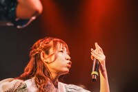 ハナエモンスター（豆柴の大群）