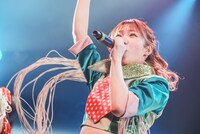 ハナエモンスター（豆柴の大群）