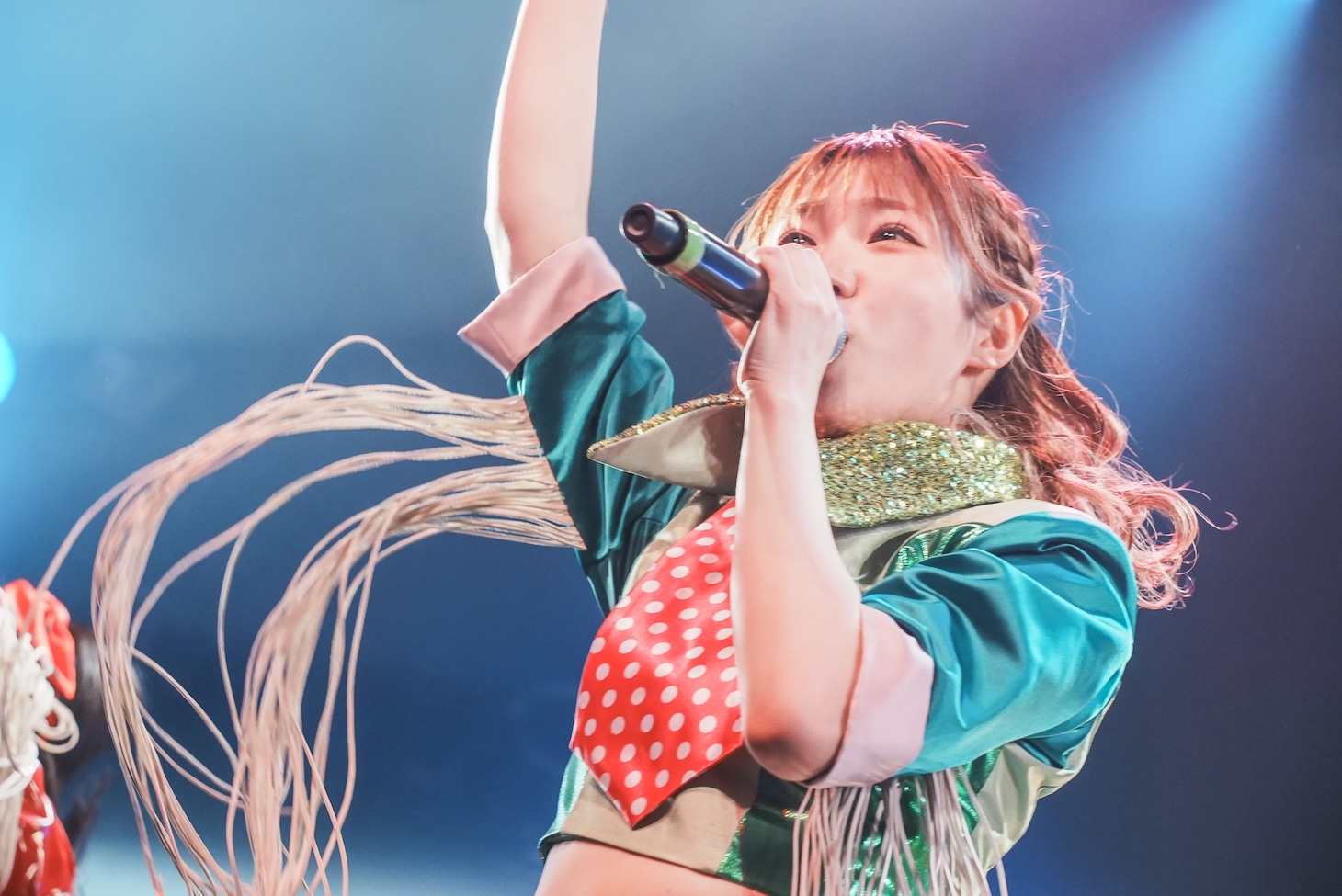 ハナエモンスター（豆柴の大群）