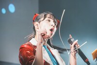 アイカ・ザ・スパイ（豆柴の大群）