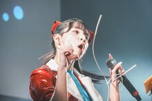 アイカ・ザ・スパイ（豆柴の大群）