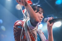 アイカ・ザ・スパイ（豆柴の大群）