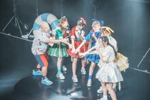 クロちゃんと豆柴の大群