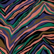 EGO-WRAPPIN'「RIVIERA」ジャケット