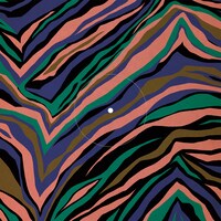 EGO-WRAPPIN'「RIVIERA」ジャケット