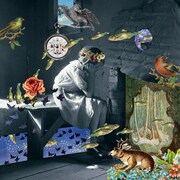 秘めごと「リンネ」配信ジャケット