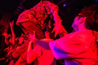 柵に登るryuya。