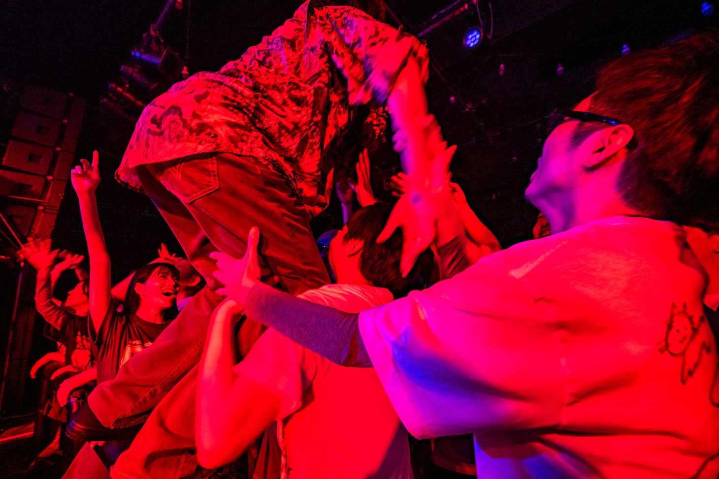 柵に登るryuya。