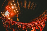 Hi-STANDARD「Screaming Newborn Baby」Kアリーナ横浜公演の様子。（撮影：西槇太一）