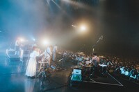 「the cabs two-man tour "MORGEN"」よりindigo la Endのステージの様子。（Photo by Kazma Kobayashi）