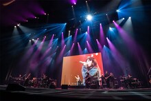 「ZARD "What a beautiful memory ～forever moment～"」の模様。
