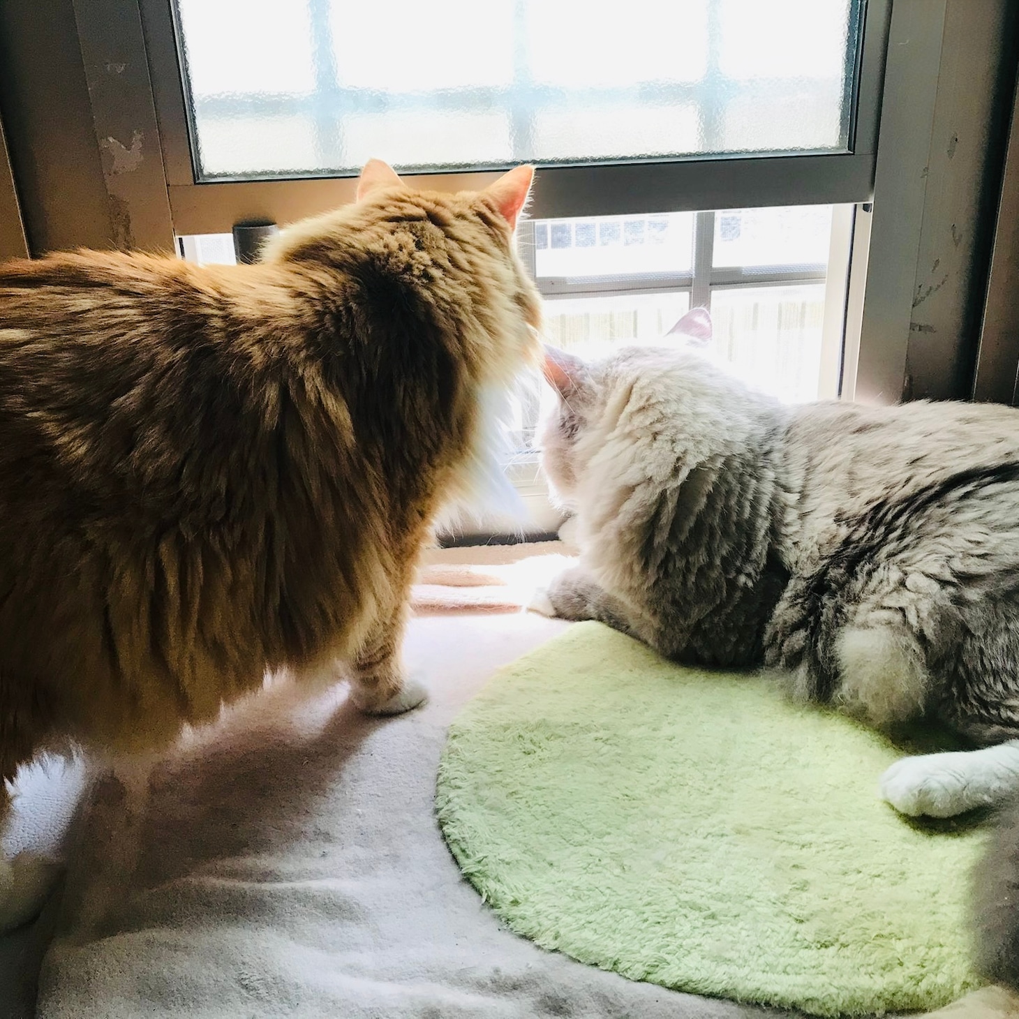 PARIS on the City!「P.S.」配信ジャケット