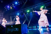 Negicco