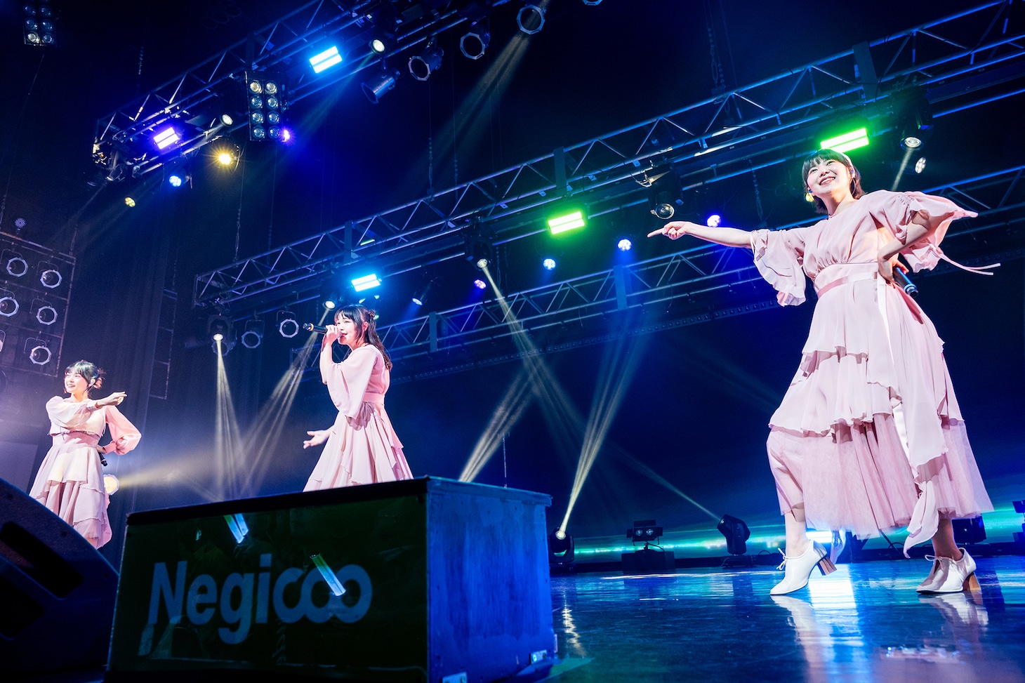 Negicco