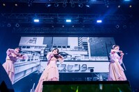 Negicco